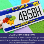 Autism License Plate Benefits The Florida Center