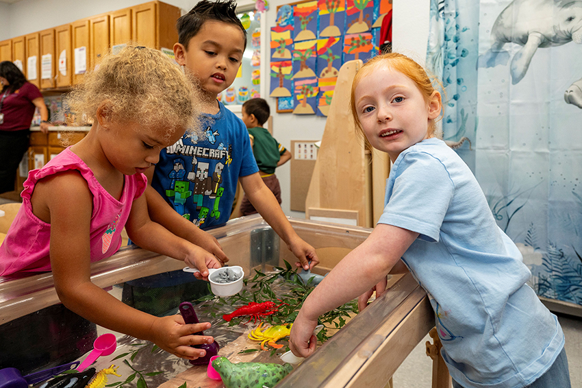 Children in the new Reggio Emilia classrooms at Starfish Academy.